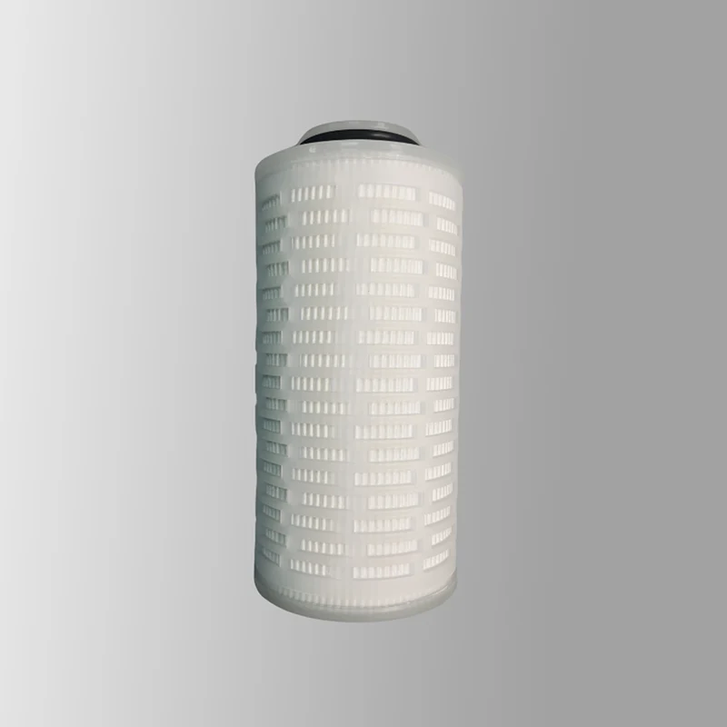 Cartuccia filtro PTFE di grado di riduzione Bio-Borden